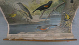 Vintage Audubon Bird Charts Nos. 1, 2 & 3