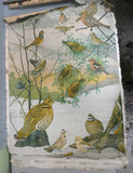 Vintage Audubon Bird Charts Nos. 1, 2 & 3