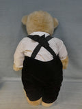 The Classic Velvet Vander Bears Collection - 5 Plush Animals