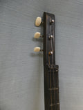 Coal Mountain 3-String Panjo with Songbook
