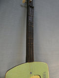 Coal Mountain 3-String Panjo with Songbook