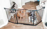 MyPet Extra-wide Windsor Arch Pet Gate 4944 - Brand New!