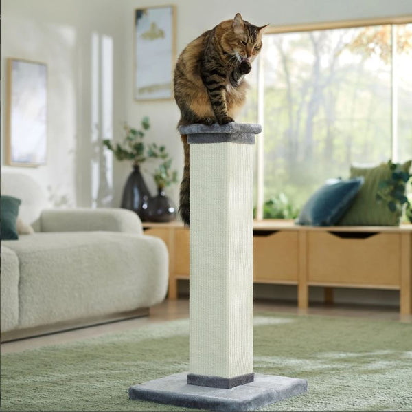 Frisco 33.5" Cat Scratching Post, Gray, #163749 - Brand New!